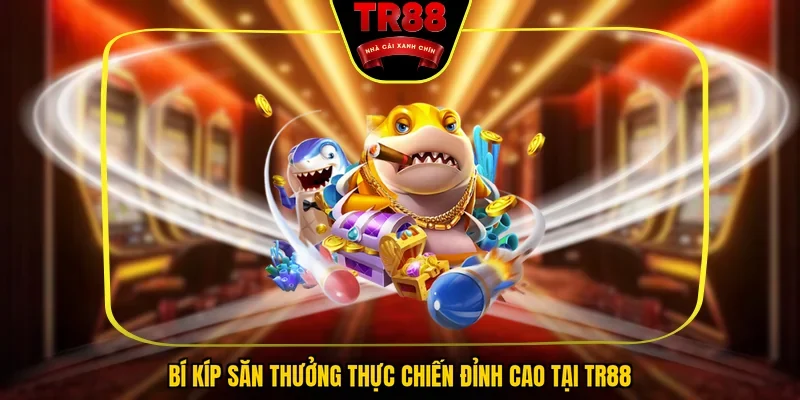 Bí kíp săn thưởng thực chiến đỉnh cao tại TR88